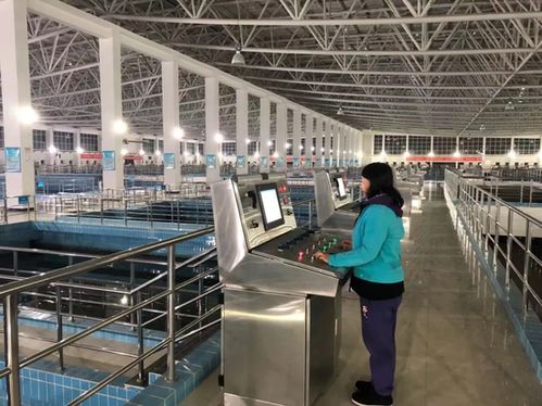 長春市水務集團全力以赴應對極端天氣，保障城市供水生命線